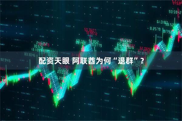 配资天眼 阿联酋为何“退群”？